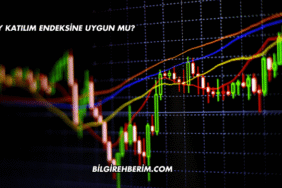 AVPGY Katılım Endeksine Uygun mu?