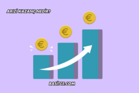 Arızi Kazanç Nedir?