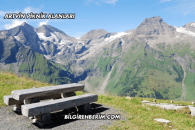 Artvin Piknik Alanları