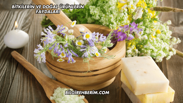 Bitkilerin ve Doğal Ürünlerin Faydaları