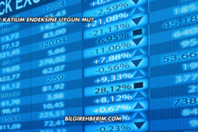 Dofer Katılım Endeksine Uygun mu?
