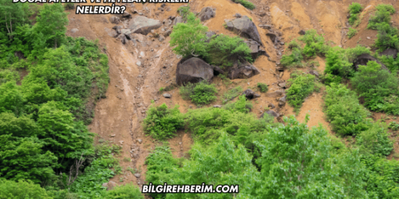 Doğal Afetler ve Heyelan Riskleri Nelerdir?