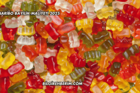 Haribo Bayilik Maliyeti 2025