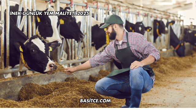 İnek Günlük Yem Maliyeti 2025