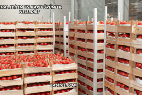 İthal Edilen En Karlı Ürünler Nelerdir?