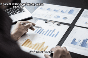 Limited Şirket Hisse Devri Nedir, Nasıl Yapılır?