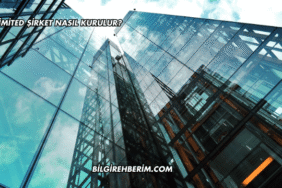 Limited Şirket Nasıl Kurulur?