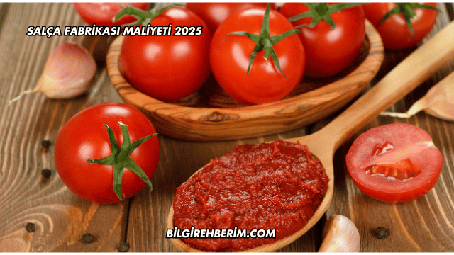 Salça Fabrikası Maliyeti 2025