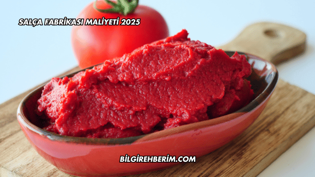 Salça Fabrikası Maliyeti 2025