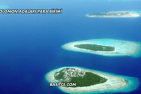 Solomon Adaları Para Birimi
