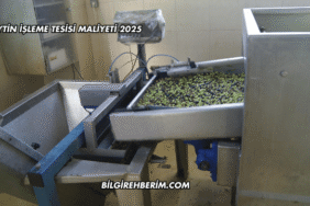 Zeytin İşleme Tesisi Maliyeti 2025