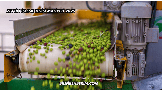Zeytin İşleme Tesisi Maliyeti 2025