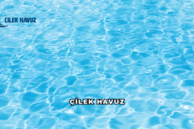 Çilek Havuz Hakkında